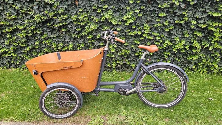 Babboe Carve Mountain E-Flow bakfiets, Fietsen en Brommers, Fietsen | Bakfietsen, Gebruikt, Overige merken, 2 kinderen, Elektrisch