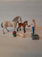 Schleich dieren arts 42486, Verzamelen, Ophalen of Verzenden, Zo goed als nieuw