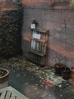 Pallet (gratis), Doe-het-zelf en Verbouw, Hout en Planken, Ophalen, Vuren, Minder dan 200 cm, Pallet