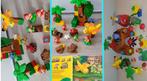 Lego Duplo Little Forest Friends €55-85, Ophalen, Duplo