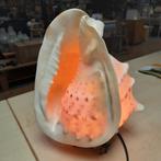 Grote schelplamp, Ophalen of Verzenden