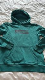 Napapijri hoodie maat 162 zgan, Kinderen en Baby's, Ophalen of Verzenden, Zo goed als nieuw, Jongen of Meisje, Trui of Vest