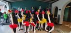 Black light act (carnaval) struisvogels compleet - 12 pers, Ophalen, Zo goed als nieuw, Jongen of Meisje