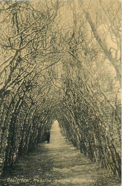 (387-212-003) Oosterbeek Fransche laantjes Mariendaal, Verzamelen, Ansichtkaarten | Nederland, Gelderland, Verzenden