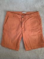 Oranje korte broek van Sissy Boy, Maat 48/50 (M), Oranje, Ophalen of Verzenden, Zo goed als nieuw