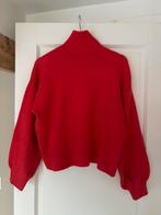 Ambika Trui, Ophalen of Verzenden, Zo goed als nieuw