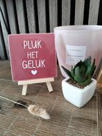 tegeltje met tekst, Ophalen of Verzenden, Nieuw