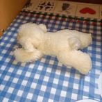 PIA Holland schaap knuffel liggend 20 cm groot, Ophalen of Verzenden