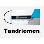 tandriem gates  carbondive beltdrive, Algemeen, Overige typen, Nieuw, Ophalen of Verzenden