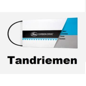 tandriem gates  carbondive beltdrive beschikbaar voor biedingen