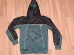 Hoodie America Today, Kinderen en Baby's, Kinderkleding | Maat 158, Ophalen of Verzenden, Zo goed als nieuw, Jongen, Trui of Vest