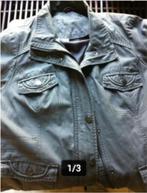 Heren zomerjasje Biagini mt L grijs, Maat 52/54 (L), Ophalen of Verzenden, Zo goed als nieuw, Adidas