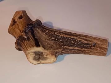 Hertengewei voor hond kauwbot  speelgoed beschikbaar voor biedingen