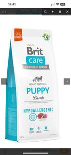 Brit care puppy, Hond, Ophalen