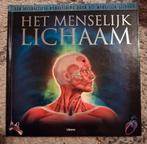 Librero - het menselijk lichaam, Ophalen of Verzenden