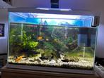 Aquarium, Dieren en Toebehoren, Vissen | Aquaria en Toebehoren, Ophalen, Zo goed als nieuw, Leeg aquarium