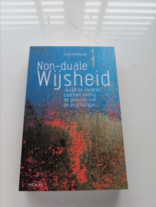 Erica Rijnsburger - Non duale wijsheid, Boeken, Esoterie en Spiritualiteit, Zo goed als nieuw, Overige onderwerpen, Ophalen of Verzenden