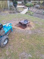 Boom stronken frees, zuid limburg.tuin man en meer !