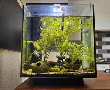 Superfish qubiq 30 liter aquarium  beschikbaar voor biedingen