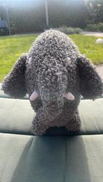 Grote knuffel olifant Olli, mascotte Feynoord, Ophalen, Nieuw, Overige typen