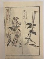 Japanse old wood block print uit 1850, Antiek en Kunst, Kunst | Etsen en Gravures, Ophalen of Verzenden