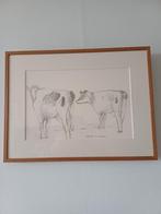 Gerard van de Weerd tekening Unica, Ophalen of Verzenden