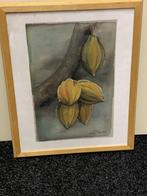 Schilderij van een cacao boon vrucht chocola, Minder dan 50 cm, Schilderij, Ophalen, 75 cm of meer