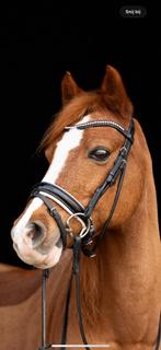 Anky rondgenaaid hoofdstel cob, Dieren en Toebehoren, Paarden en Pony's | Hoofdstellen en Tuigage, Ophalen of Verzenden, Zo goed als nieuw