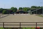 stalling en weidegang, Weidegang, 4 paarden of pony's of meer