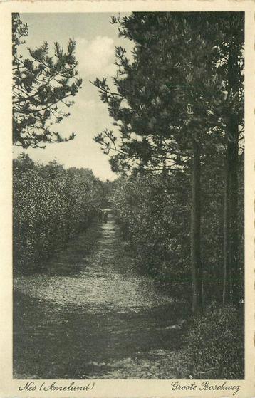 (379-188-023) Nes Ameland Groote Boschweg beschikbaar voor biedingen