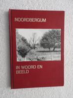 Noordbergum in woord en beeld - Noardburgum, Ophalen of Verzenden, Zo goed als nieuw