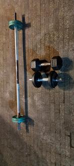 Halterset met gietijzeren halterschijven, Sport en Fitness, Fitnessmaterialen, Ophalen, Gebruikt, Halterset