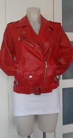 Mooi stoer rood leer jasje maat M, Ophalen of Verzenden, Zo goed als nieuw, Rood