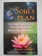 Your Soul's Plan - Robert Schwartz, Ophalen, Achtergrond en Informatie, Ziel of Sterfelijkheid, Robert Schwartz