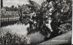 Sus98 Oude Gelopen Ansichtkaart Hilversum Laapersveld 1955, Verzamelen, Ophalen of Verzenden, Gelopen, Noord-Holland