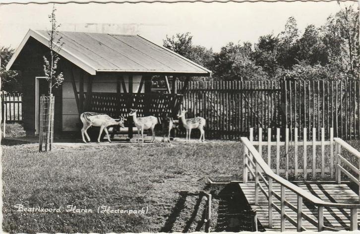 HAREN Beatrixoord Hertenkamp, Verzamelen, Ansichtkaarten | Nederland, Gelopen, Groningen, 1960 tot 1980, Verzenden