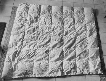 Ganzen Donzen Dekbed - 200x240cm beschikbaar voor biedingen