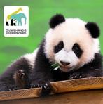 8x ouwehands dierenpark 25 december eerste kerstdag, Drie personen of meer, Ticket of Toegangskaart