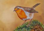 schilderij roodborstje 290 - origineel cadeau - vogels vogel, Minder dan 50 cm, Nieuw, Minder dan 50 cm, Schilderij