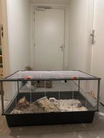 Groot knaagdierverblijf met toebehoren – compleet pakket, Dieren en Toebehoren, Ophalen, 110 cm of meer, Zo goed als nieuw, 90 cm of meer