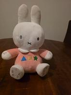 Nijntje Leerknuffel, Ophalen of Verzenden, Zo goed als nieuw, Konijn