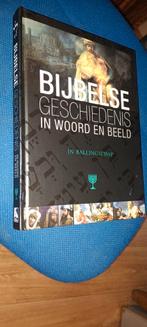 Bijbelse geschiedenis in woord en beeld (in ballingschap), Boeken, Ophalen of Verzenden, Gelezen, Boer, Theanne e.a. (red.), Christendom | Protestants
