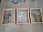3 lijstjes met droogbloemen, Huis en Inrichting, Woonaccessoires | Droogbloemen, Ophalen of Verzenden, Zo goed als nieuw
