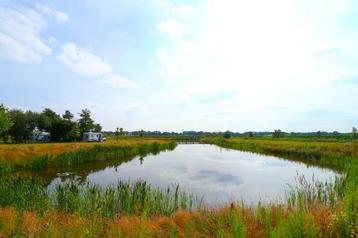 goed en goedkoop kamperen- vakantiehuisje De Peel  beschikbaar voor biedingen