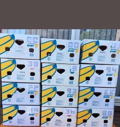 Bananendozen (leeg), Doe-het-zelf en Verbouw, Kratten en Dozen, Doos, Minder dan 35 cm, Minder dan 40 cm, Ophalen