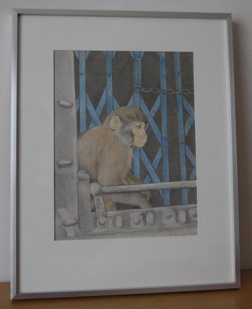 Twee realistische aap tekeningen in kleur - Saskia van Dijk., Antiek en Kunst, Kunst | Tekeningen en Foto's, Ophalen