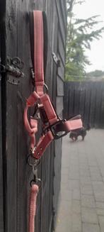 Halster en halstertouw roze, Dieren en Toebehoren, Paarden en Pony's | Hoofdstellen en Tuigage, Ophalen, Zo goed als nieuw, Overige soorten