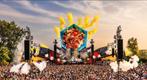 2 zaterdag kaartjes mysteryland, Twee personen, Ticket of Toegangskaart