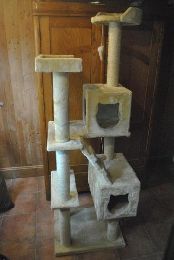 Kattenboom met krabpaal en kattenmanden beschikbaar voor biedingen