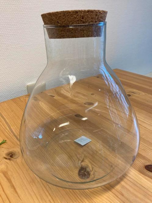 grote glazen pot/vaas, Huis en Inrichting, Woonaccessoires | Overige, Gebruikt, Ophalen